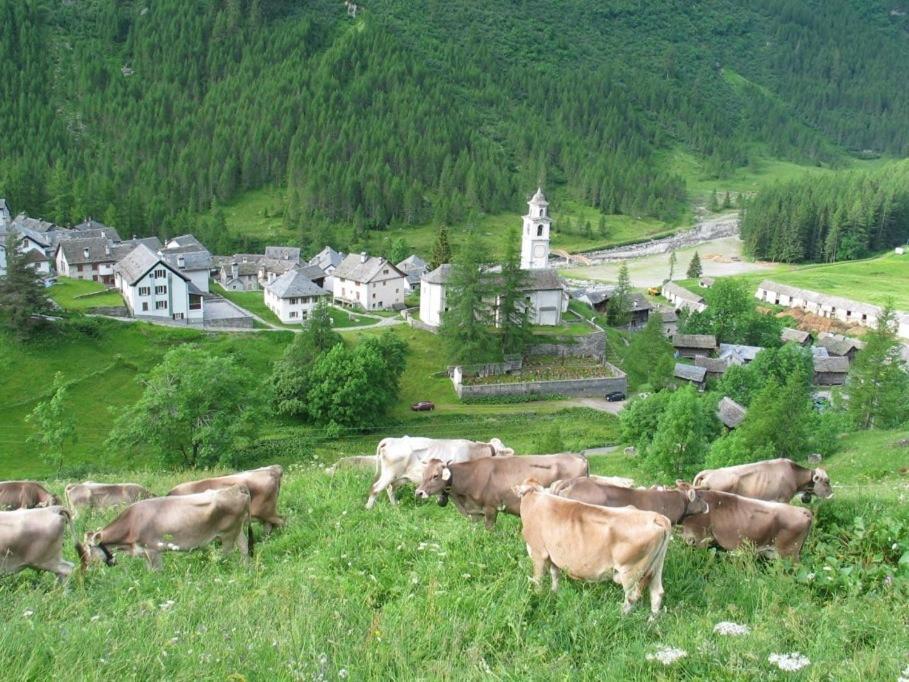 Casa Di Vacanza Giovanibosco 외부 사진